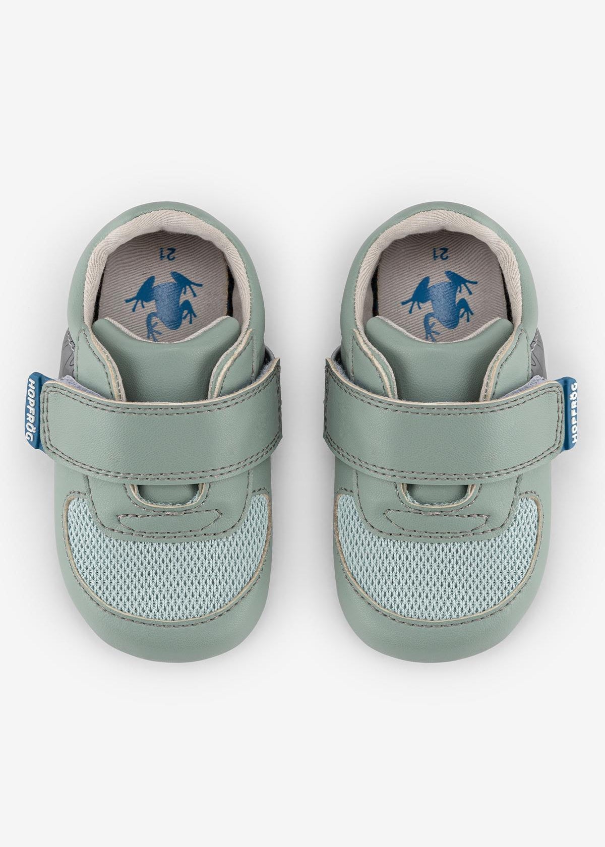 Hopfrög First Prime Grön