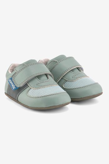 Hopfrög First Prime Grön